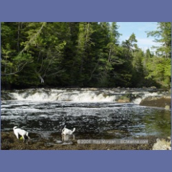 2003_4400_Kwakwa_Creek_Kitasoo_Bay.html