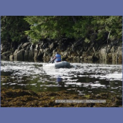 2003_4410_Kwakwa_Creek_Kitasoo_Bay.html