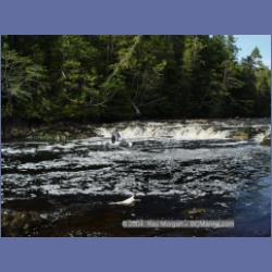 2003_4412_Kwakwa_Creek_Kitasoo_Bay.html