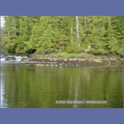 2003_4424_Kwakwa_Creek_Kitasoo_Bay.html
