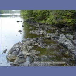 2003_4428_Kwakwa_Creek_Kitasoo_Bay.html