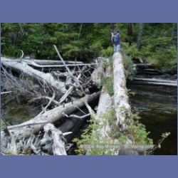 2003_4434_Kwakwa_Creek_Kitasoo_Bay.html