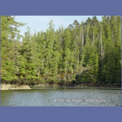 2003_4439_Kwakwa_Creek_Kitasoo_Bay.html