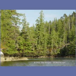 2003_4440_Kwakwa_Creek_Kitasoo_Bay.html