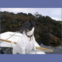 2002_307_Clarke_Island_KyuquotSound.html
