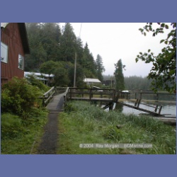 2002_341_Kyuquot.html