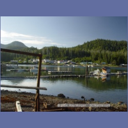 2003_3430_Kyuquot_BC_Walters_Cove.html
