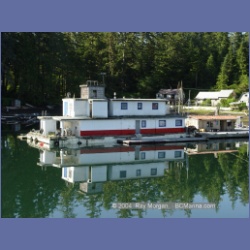 2003_3455_Kyuquot_BC_Walters_Cove.html