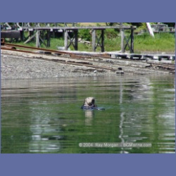 2003_3469_Kyuquot_BC_Walters_Cove.html