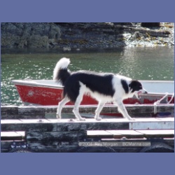 2003_3568_Kyuquot_BC_Walters_Cove.html