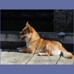 2003_3575_Kyuquot_BC_Walters_Cove.html