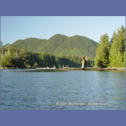 2003_3620_Kyuquot_BC_Walters_Cove.html
