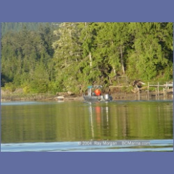 2003_3624_Kyuquot_BC_Walters_Cove.html