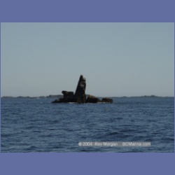 2003_3411_Krogan_Rock_Kyuquot_Sound.html