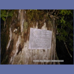 2000_334_Larcom_Island.html