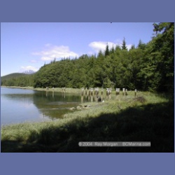 2000_336_Larcom_Island.html