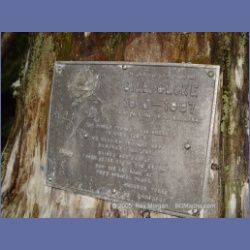 2005_1197_Bill_Cloke_Larcom_Island.html