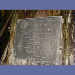 2005_1198_Bill_Cloke_Larcom_Island.html