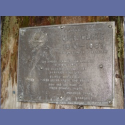 2005_1199_Bill_Cloke_Larcom_Island.html