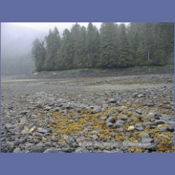 1998_091_Laredo_Inlet.html