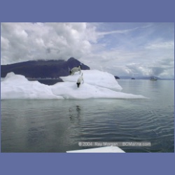 1998_379_LeConte_Glacier.html