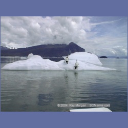 1998_380_LeConte_Glacier.html
