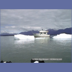 1998_386_LeConte_Glacier.html