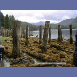 1998_535_Lowe_Inlet.html