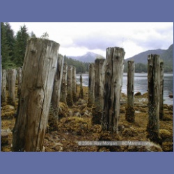1998_538_Lowe_Inlet.html