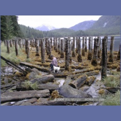 1998_540_Lowe_Inlet.html