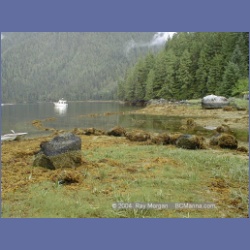 1998_542_Lowe_Inlet.html