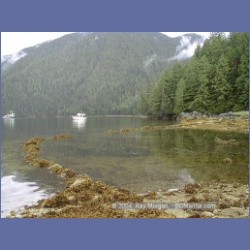 1998_543_Lowe_Inlet.html