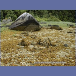 1998_544_Lowe_Inlet.html
