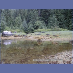 1998_545_Lowe_Inlet.html