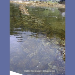 1998_546_Lowe_Inlet.html
