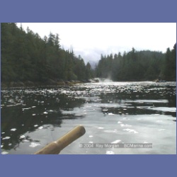 1998_551_Lowe_Inlet.html