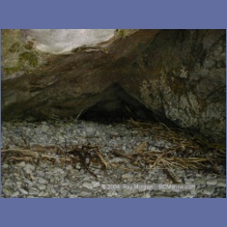 2002_080_MarbleCove_BarkleySound.html