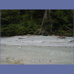 2002_085_MarbleCove_BarkleySound.html