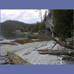 2002_086_MarbleCove_BarkleySound.html