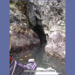 2002_089_MarbleCove_BarkleySound.html