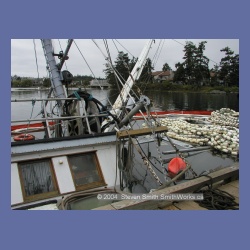 2003_Mary_Todd_Sunk_51019.html