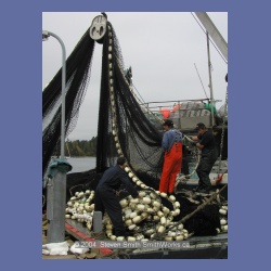 2003_Mary_Todd_Sunk_51020.html