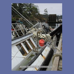 2003_Mary_Todd_Sunk_51021.html