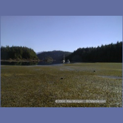 2002_151_Matilda_Inlet_Anchorage.html