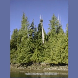 2002_157_Matilda_Inlet_Anchorage.html