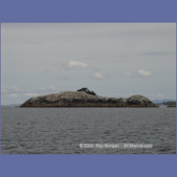 2003_4204_McInnes_Island_Light.html