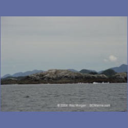 2003_4212_McInnes_Island_Light.html
