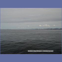 2003_4226_McInnes_Island_Light.html