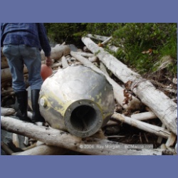 2004_6836_McInnes_Island.html