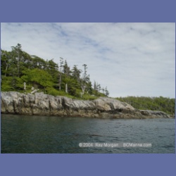 2004_6841_McInnes_Island.html